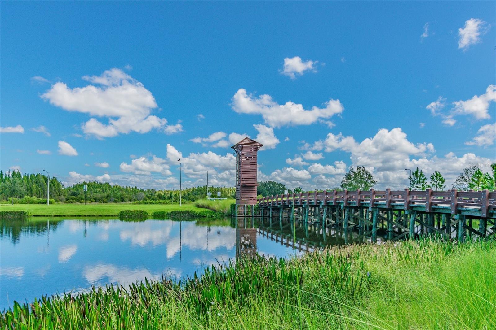 32721 BROOKS HAWK LN, WESLEY CHAPEL, FL, 33543