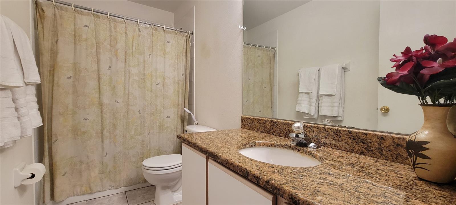 2213 FLUORSHIRE DR, BRANDON, FL, 33511