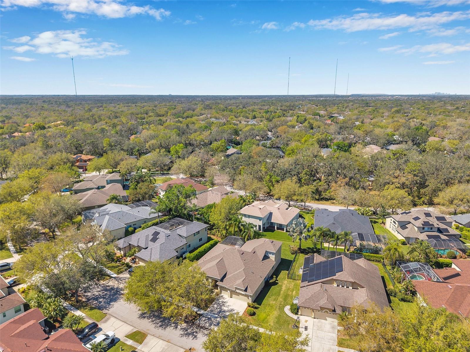 15714 IBISRIDGE DR, LITHIA, FL, 33547