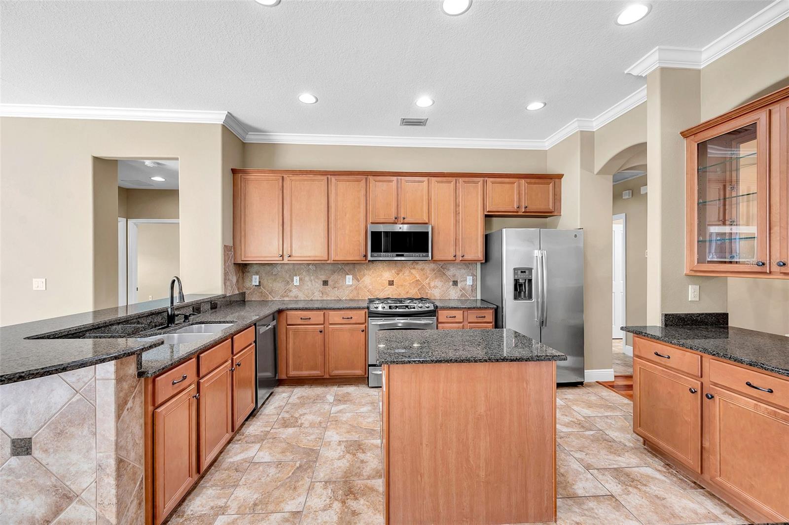 15714 IBISRIDGE DR, LITHIA, FL, 33547