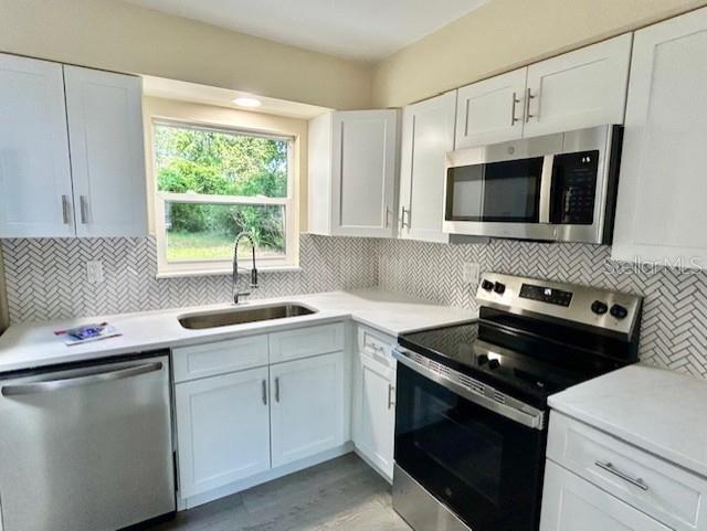 249 CITRA ST, DE LEON SPRINGS, FL, 32130