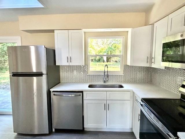 249 CITRA ST, DE LEON SPRINGS, FL, 32130