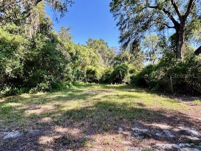 249 CITRA ST, DE LEON SPRINGS, FL, 32130