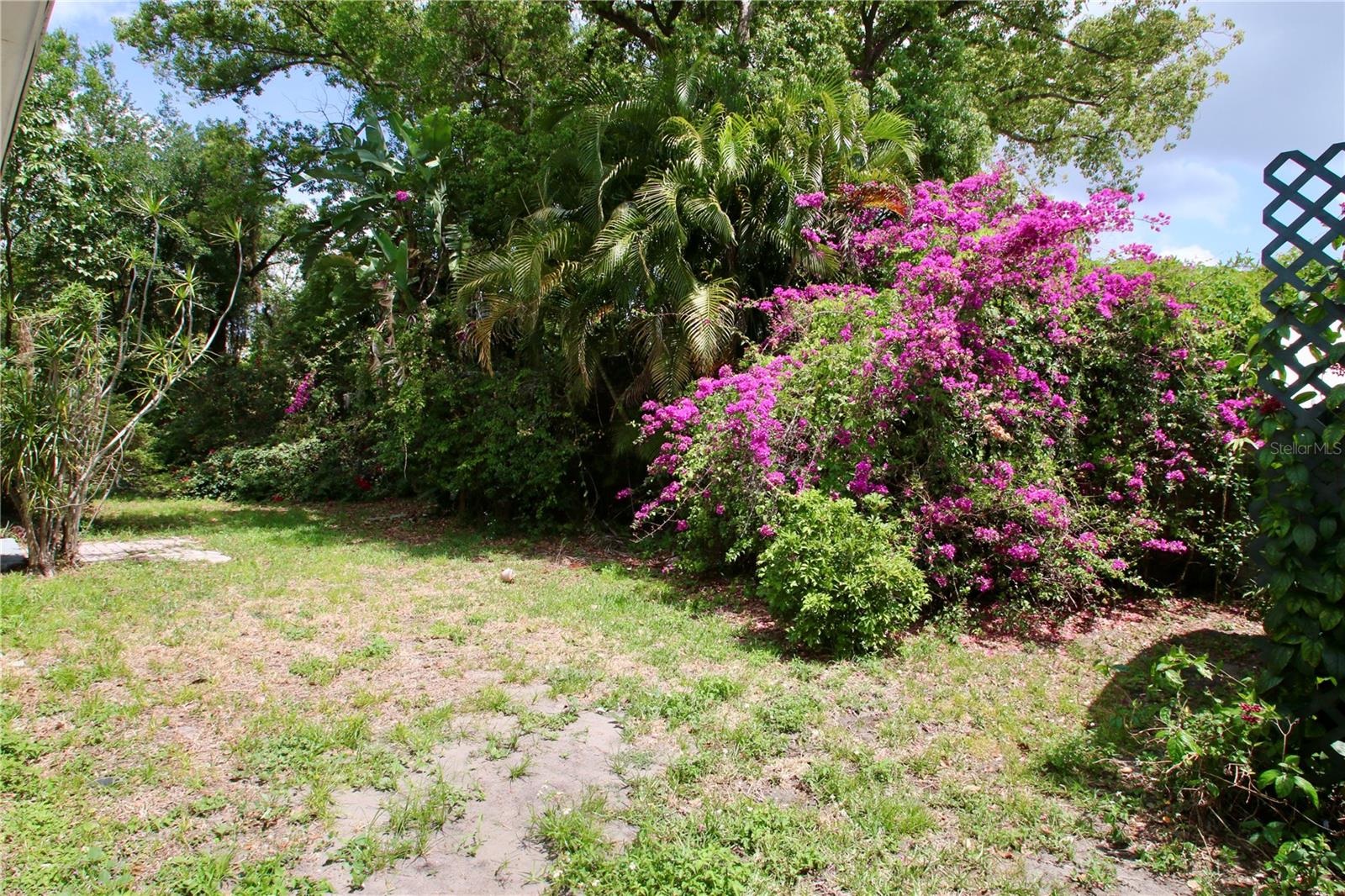 717 CLIFFORD DR, ORLANDO, FL, 32804