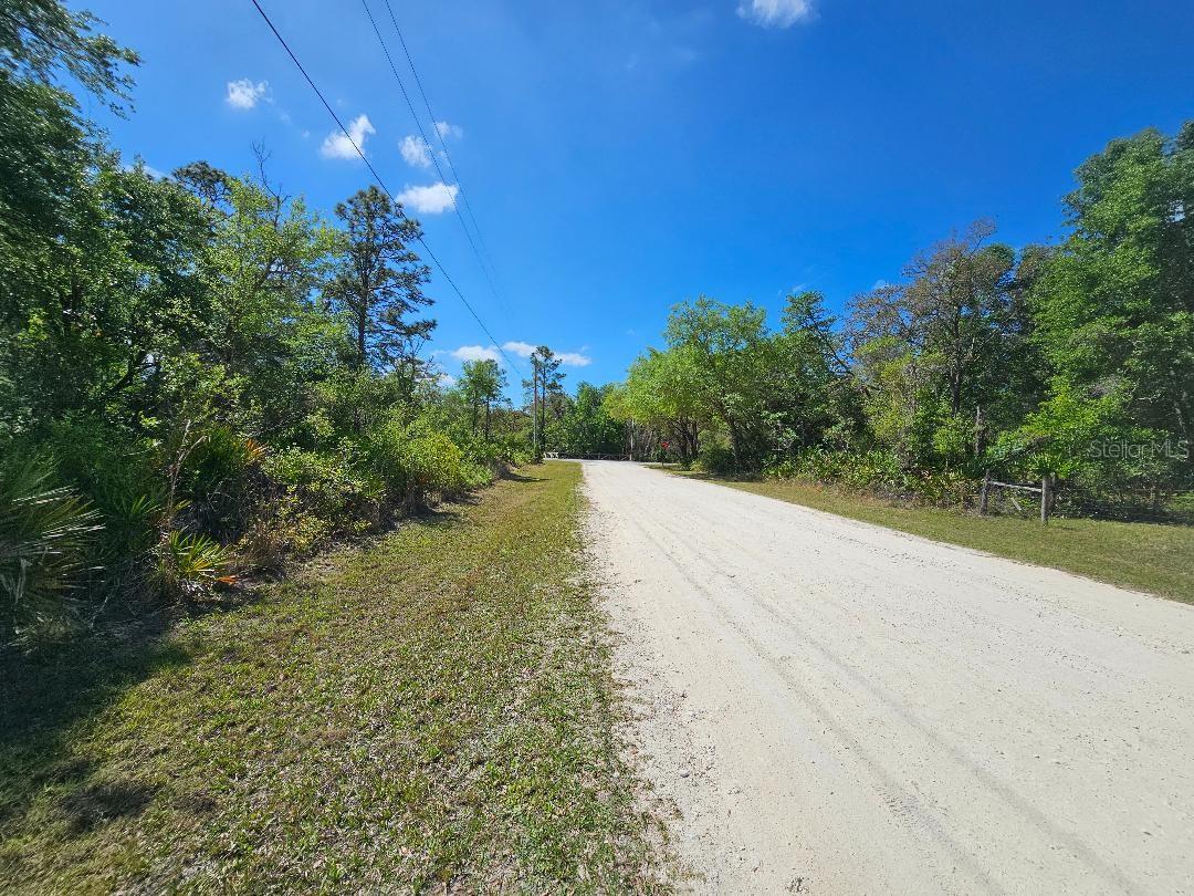8130 SHELLSTREAM DR, WEBSTER, FL, 33597