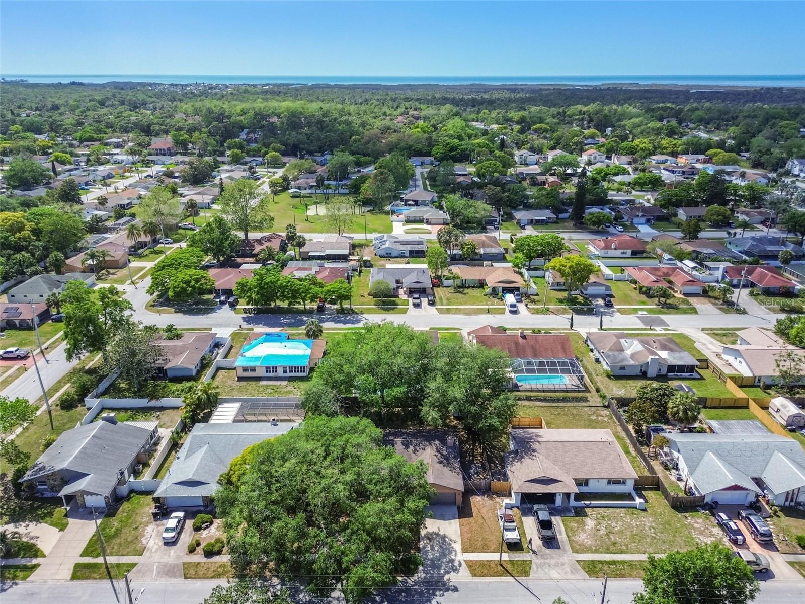 16039 FROST DR, HUDSON, FL, 34667