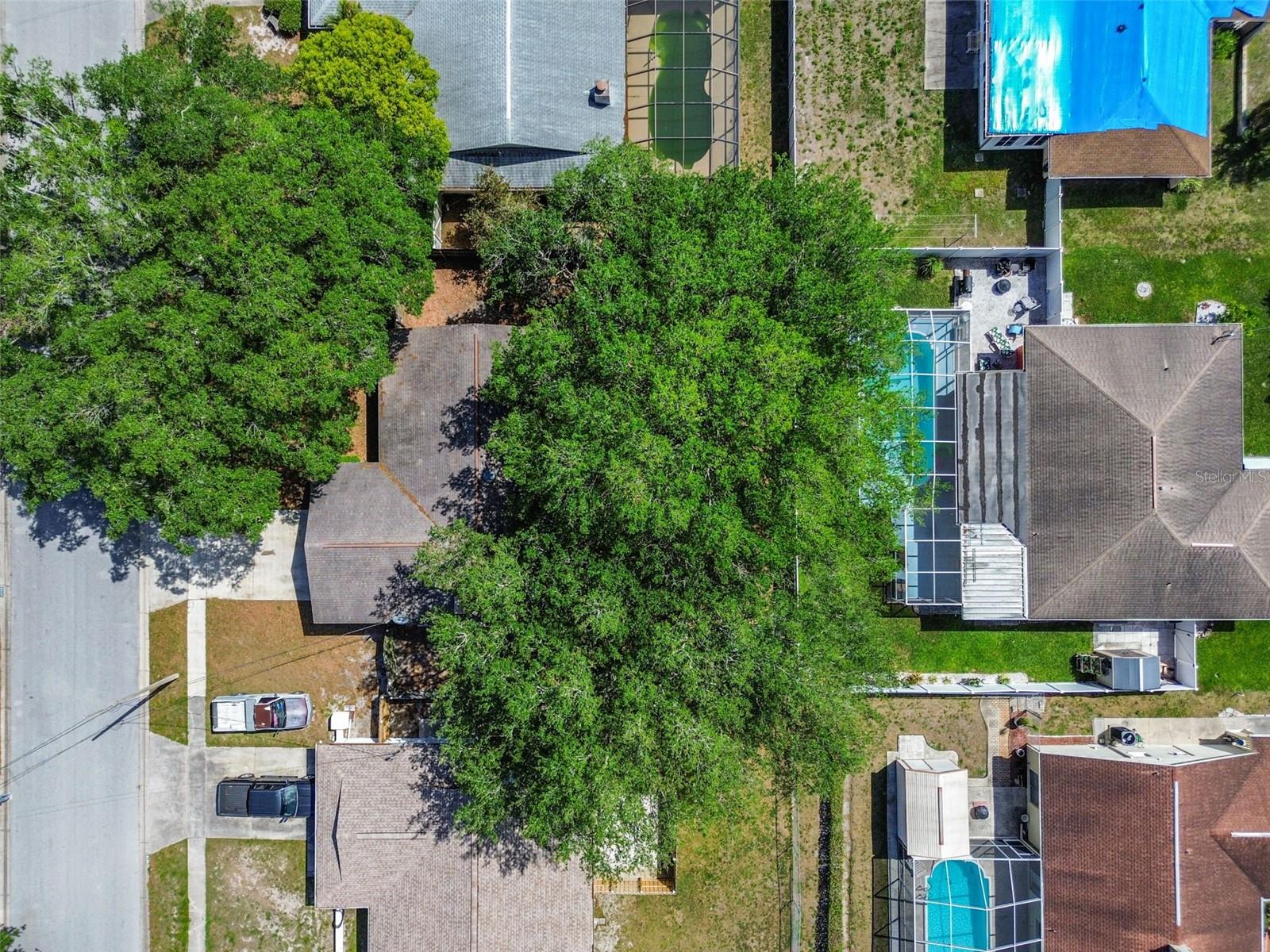 16039 FROST DR, HUDSON, FL, 34667