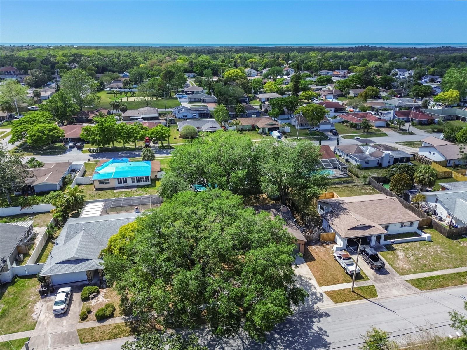 16039 FROST DR, HUDSON, FL, 34667
