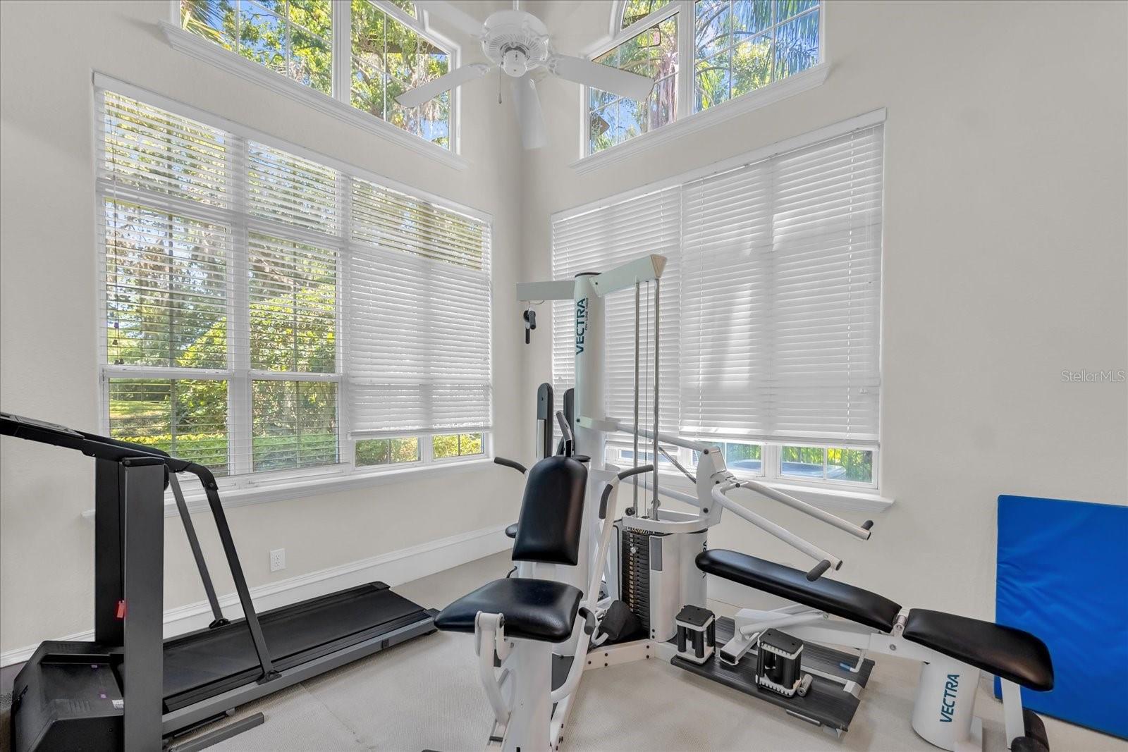 8302 EARLWOOD AVE, MOUNT DORA, FL, 32757