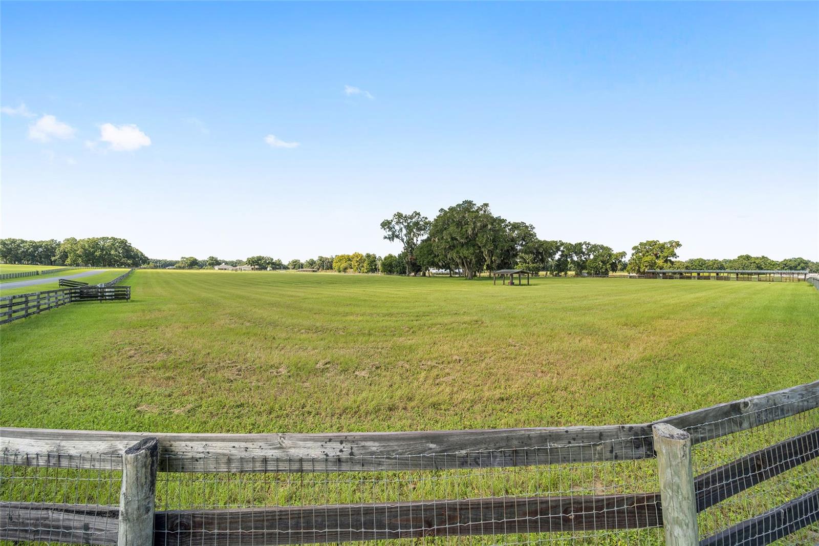 Lot 16 NE 15 COURT, CITRA, FL, 32113