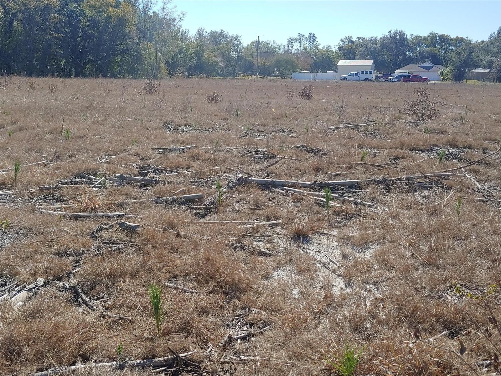 TRAPNELL RD, PLANT CITY, FL, 33566