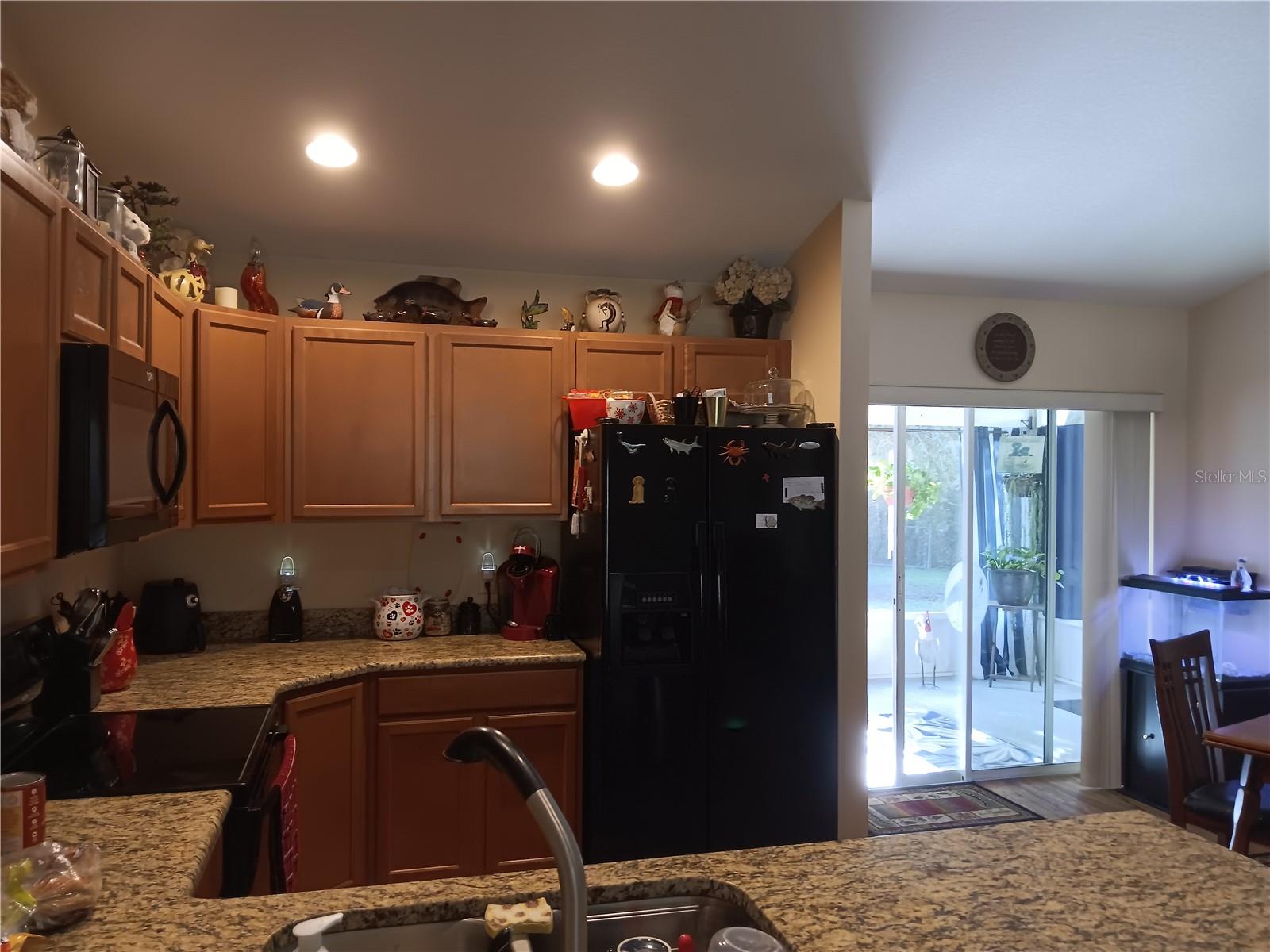 4746 CR 300, LAKE PANASOFFKEE, FL, 33538
