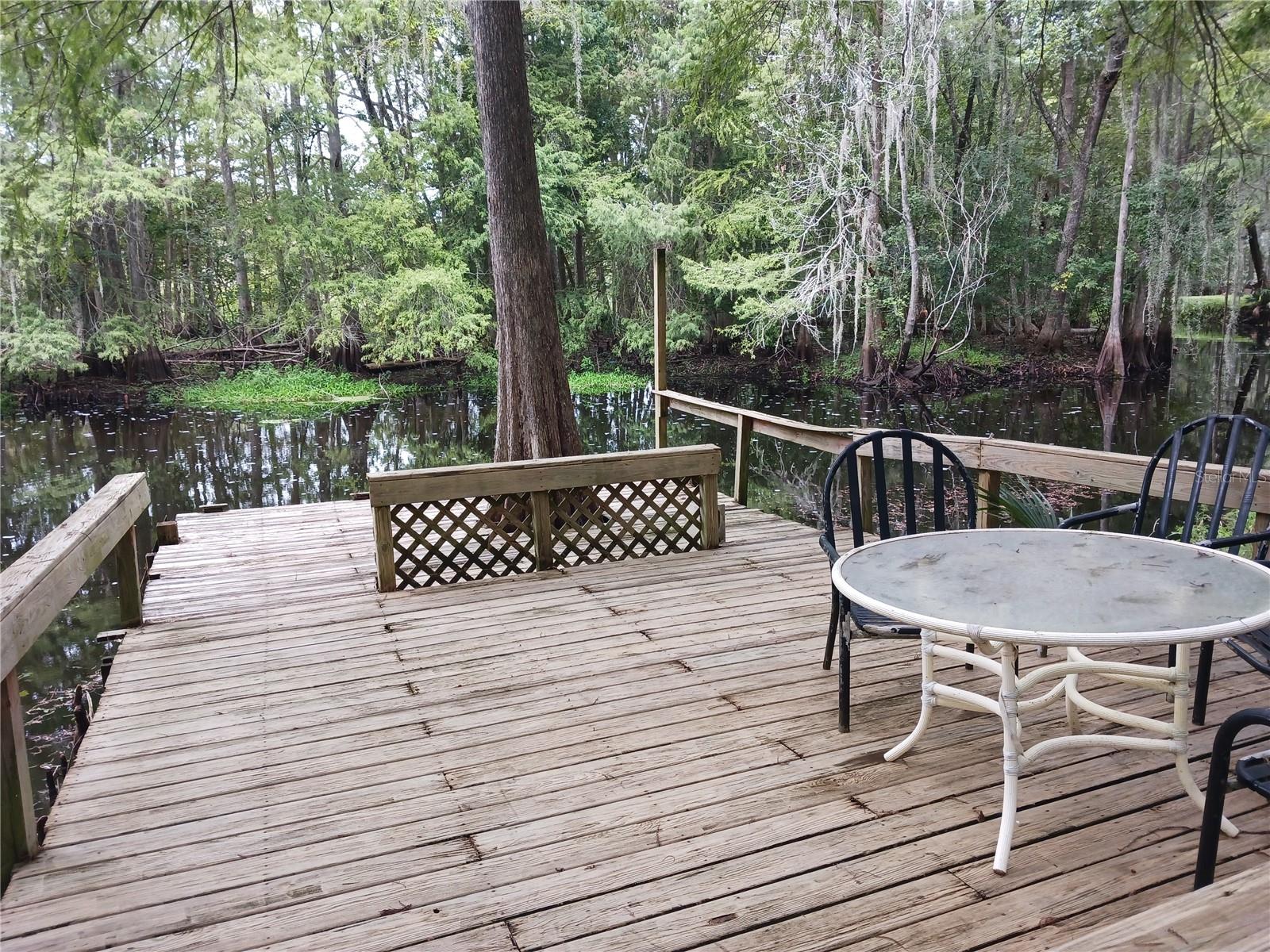 4746 CR 300, LAKE PANASOFFKEE, FL, 33538