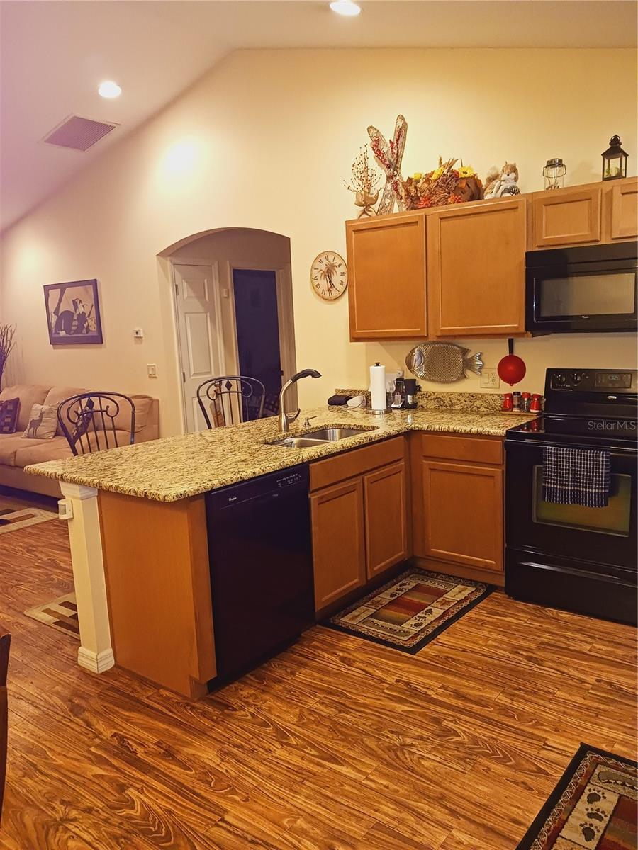 4746 CR 300, LAKE PANASOFFKEE, FL, 33538