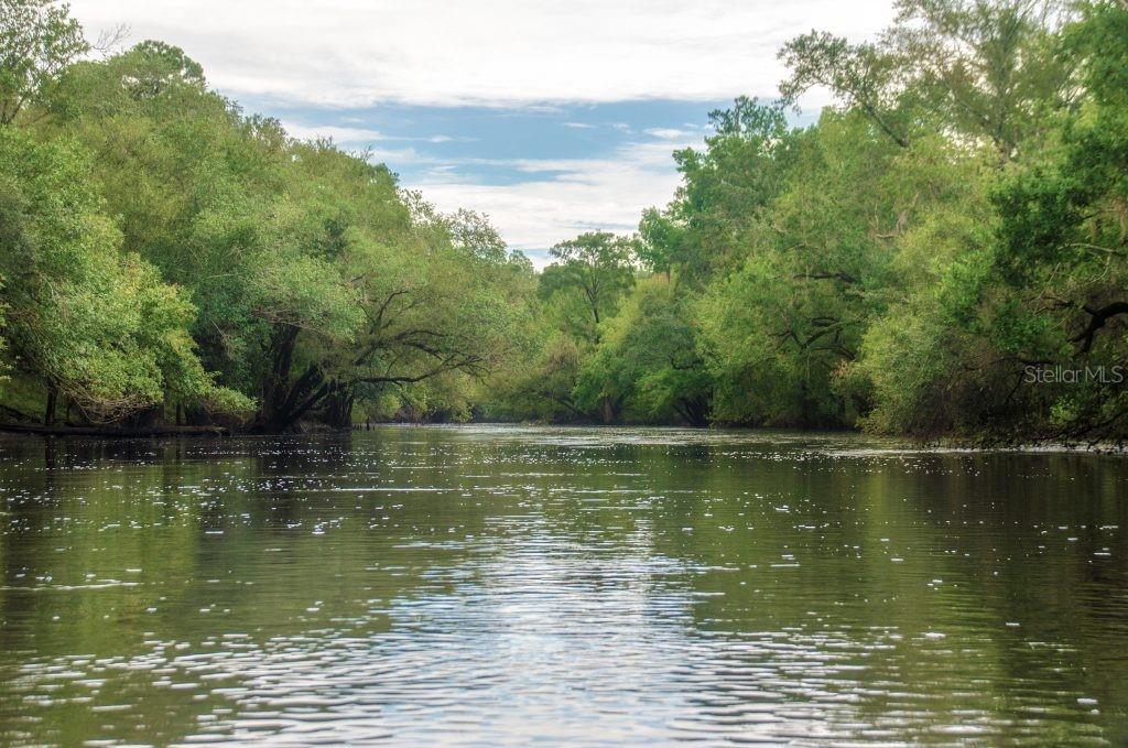 4746 CR 300, LAKE PANASOFFKEE, FL, 33538