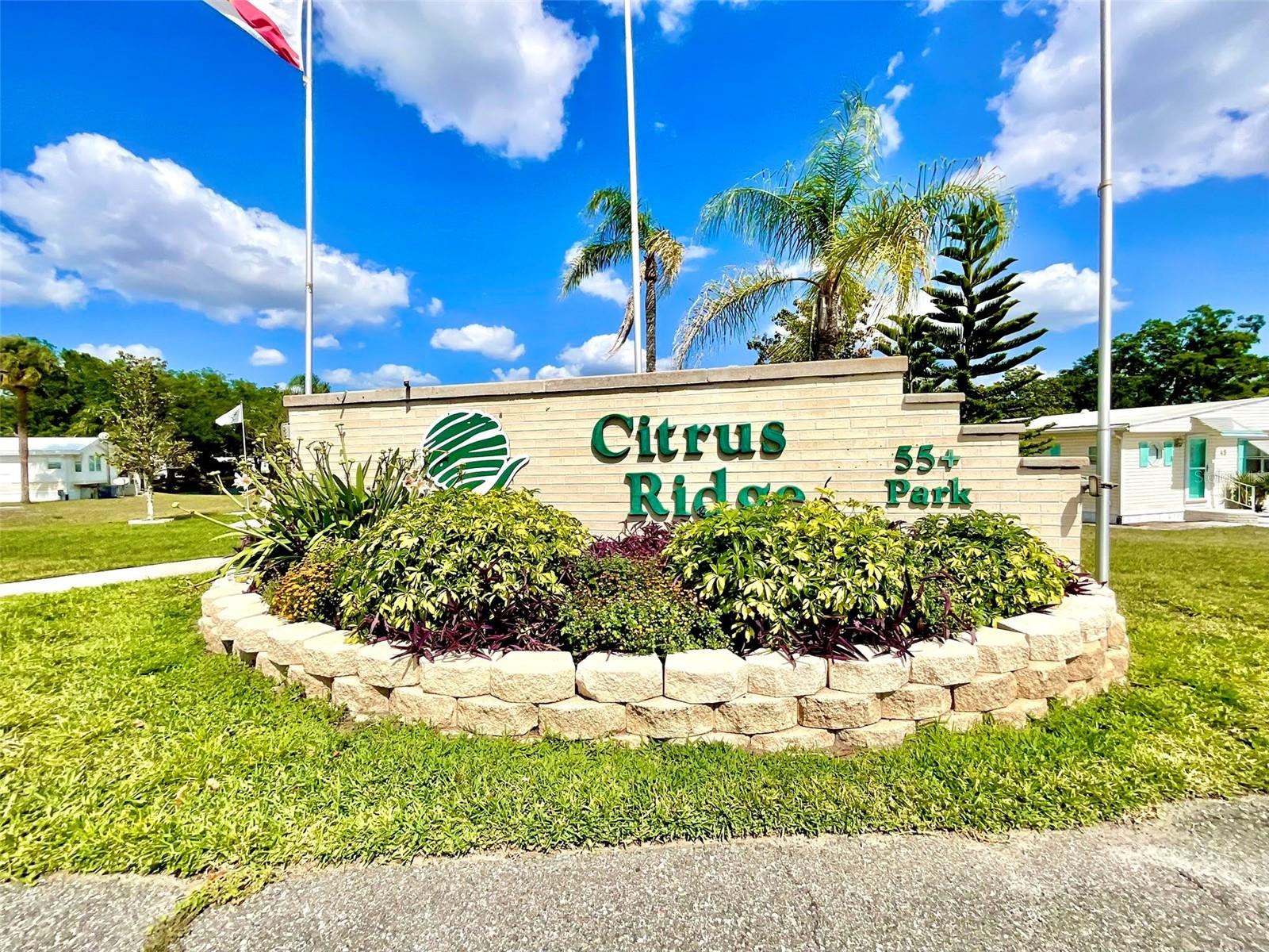 59 CITRUS RIDGE DR, DAVENPORT, FL, 33837