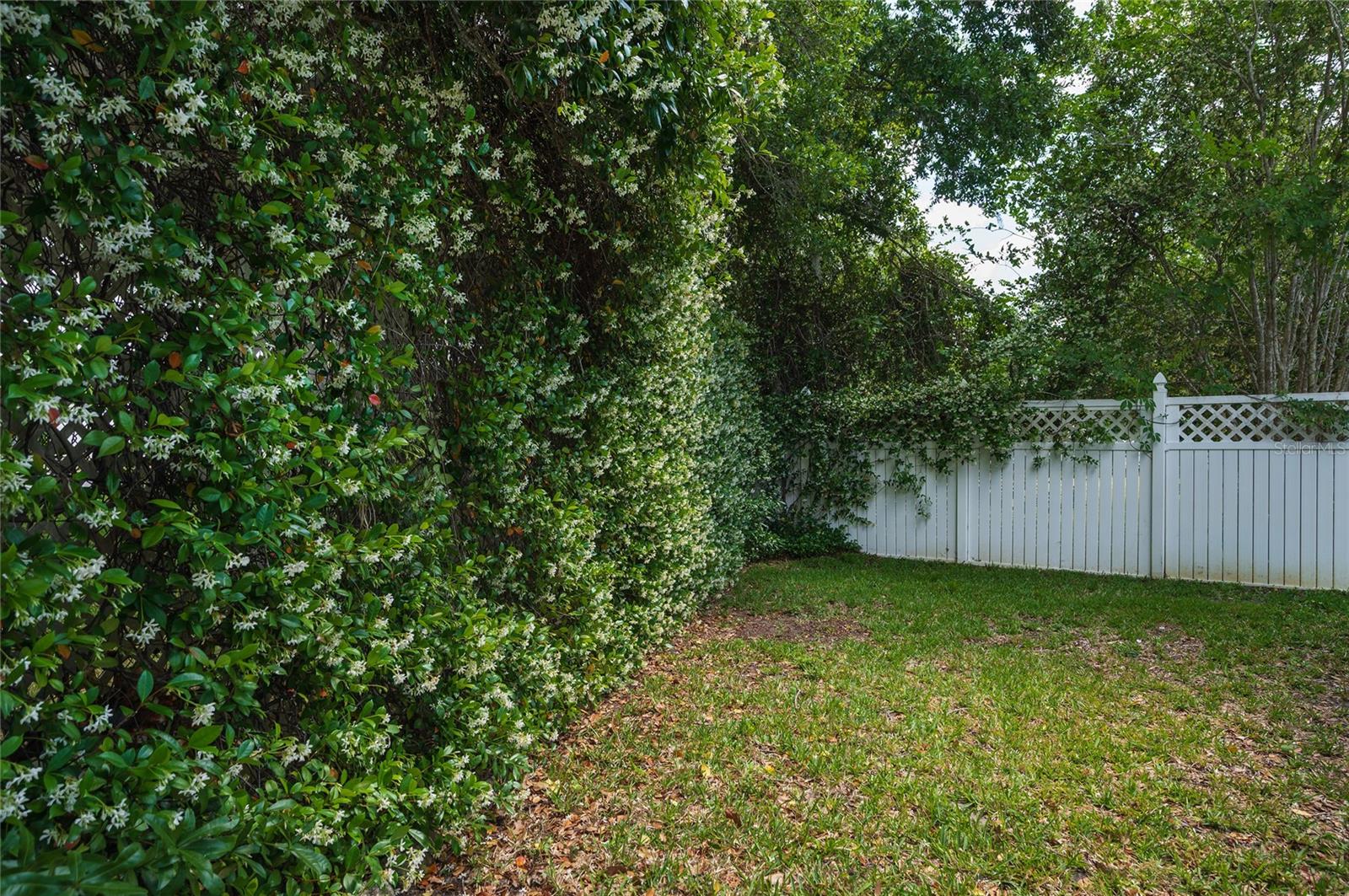 221 BAY ST, APOPKA, FL, 32712