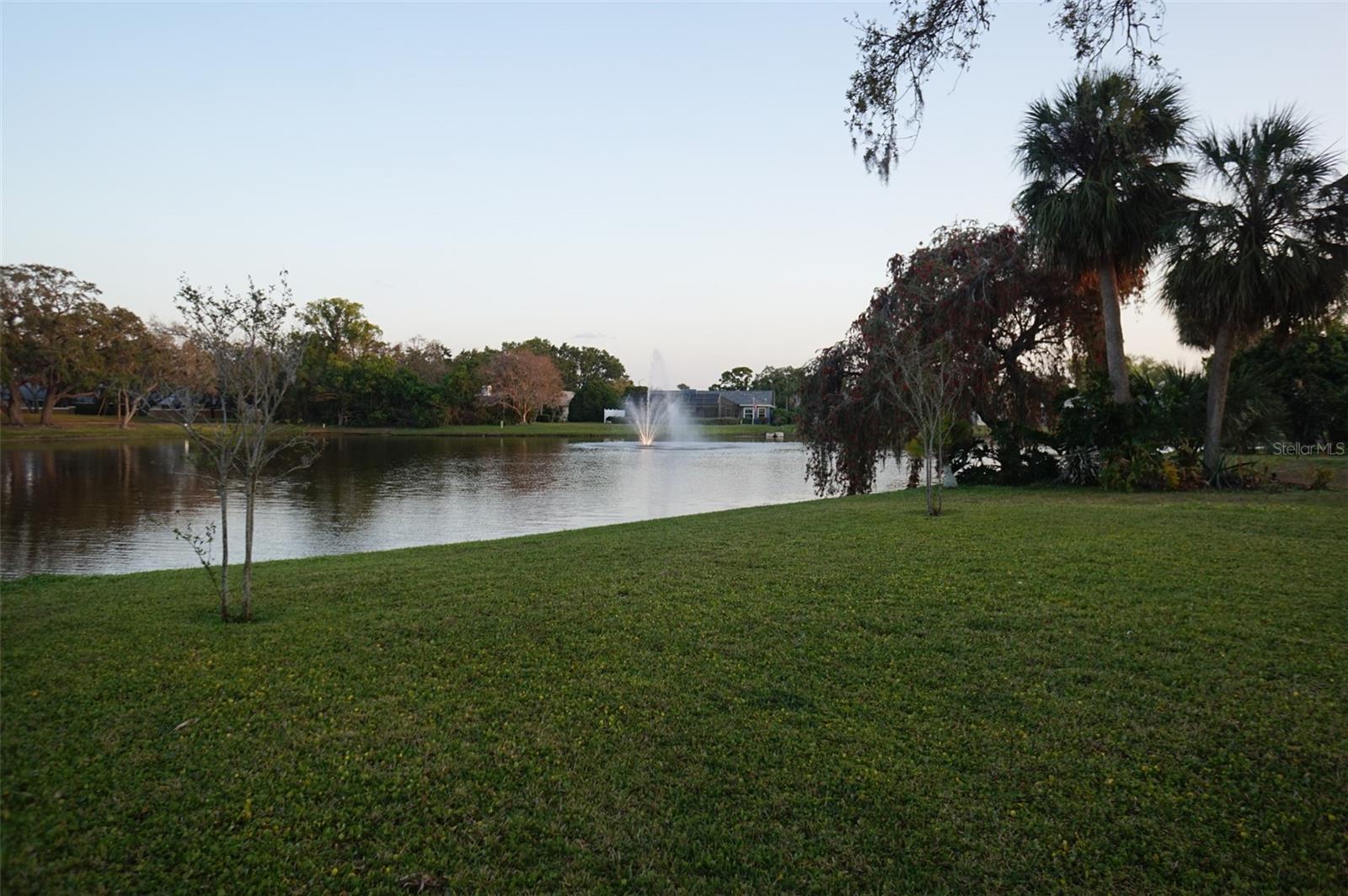 2906 WINDRIDGE DR, HOLIDAY, FL, 34691
