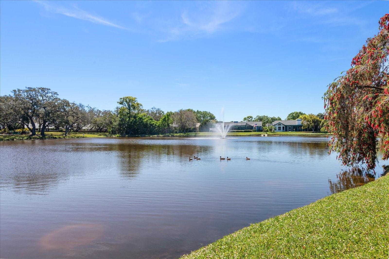2906 WINDRIDGE DR, HOLIDAY, FL, 34691