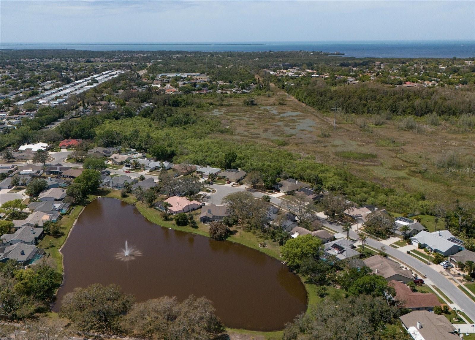 2906 WINDRIDGE DR, HOLIDAY, FL, 34691