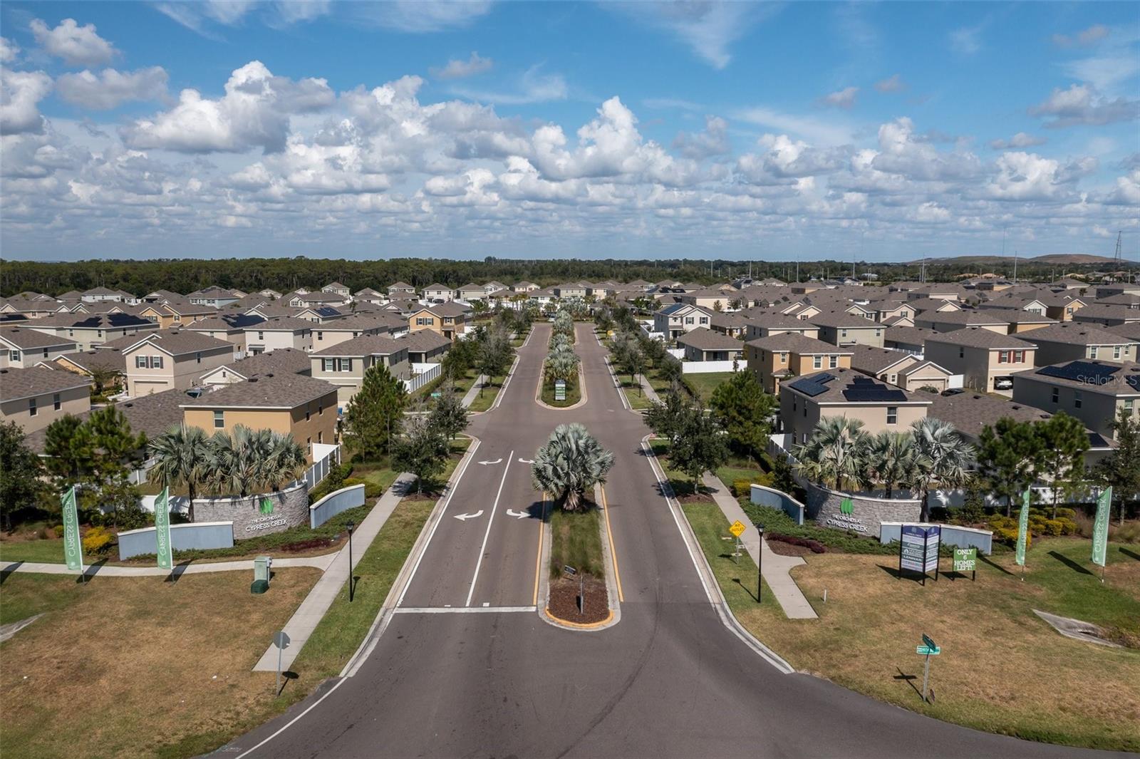 10101 MANGROVE WELL RD, RUSKIN, FL, 33573