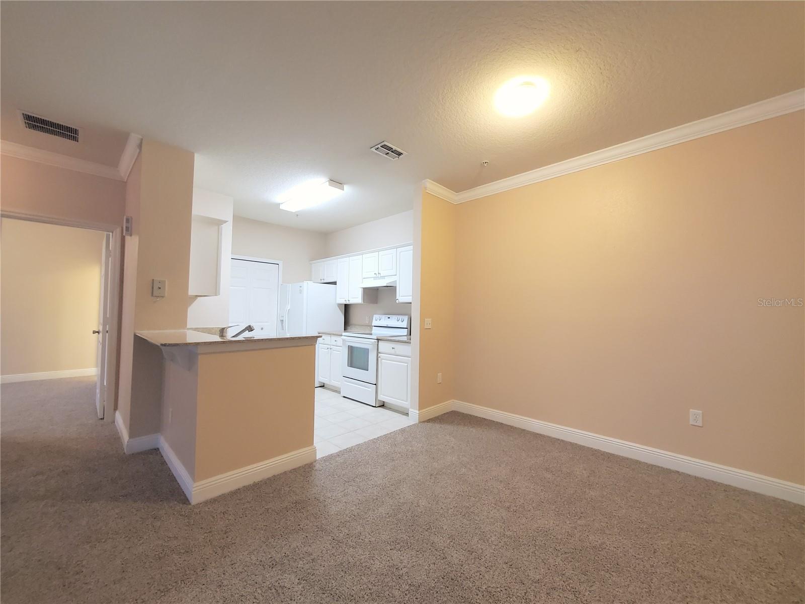 200 SOUTHERN PECAN CIR #207, WINTER GARDEN, FL, 34787