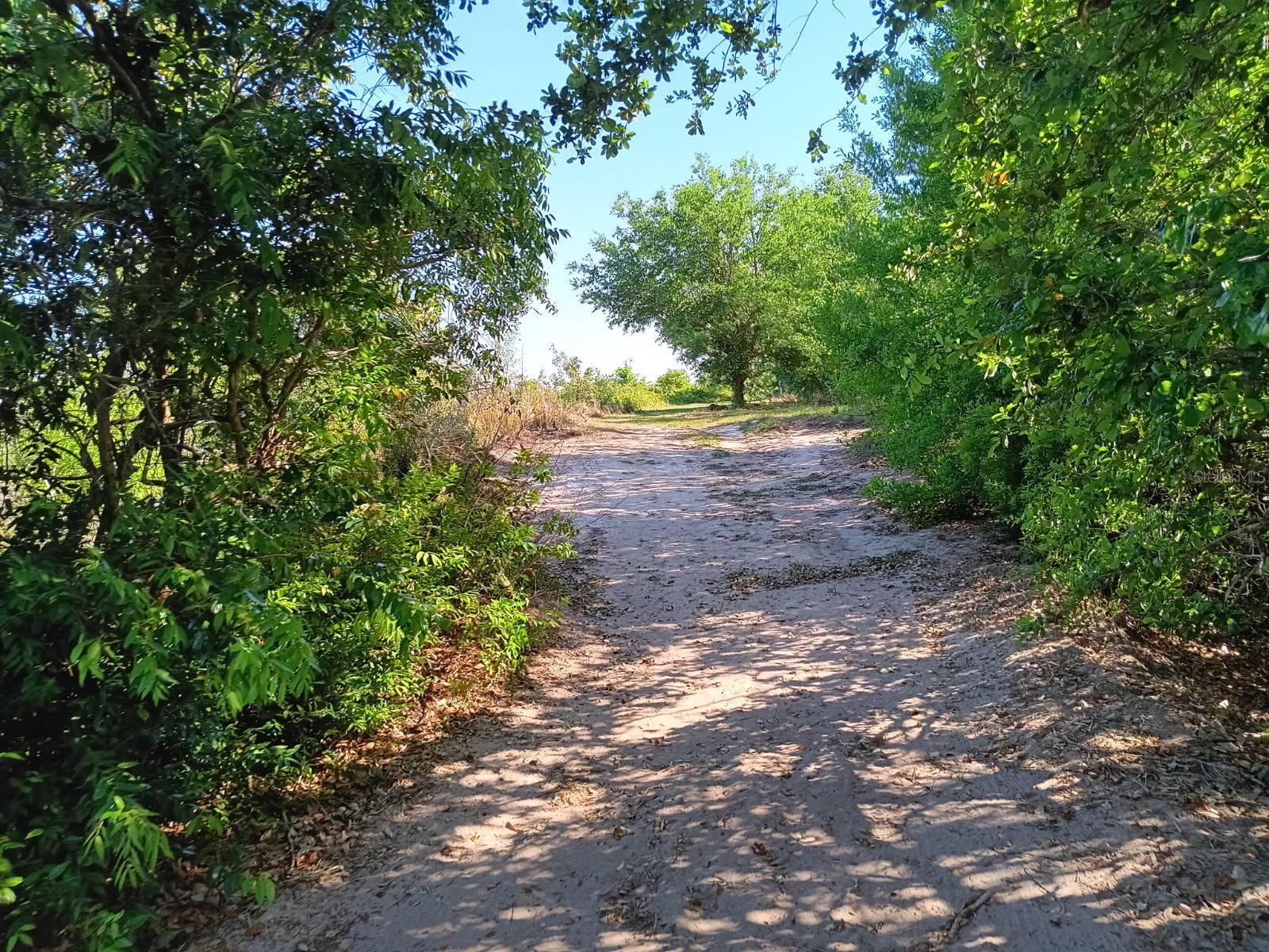 1138 HOPKINS LN, ZOLFO SPRINGS, FL, 33890