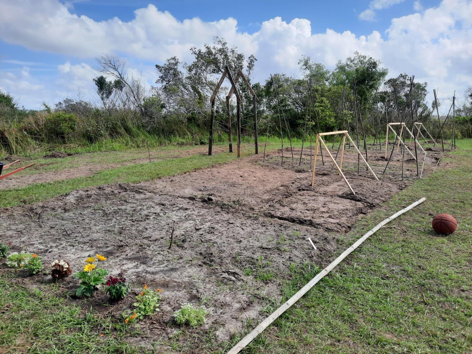 1138 HOPKINS LN, ZOLFO SPRINGS, FL, 33890