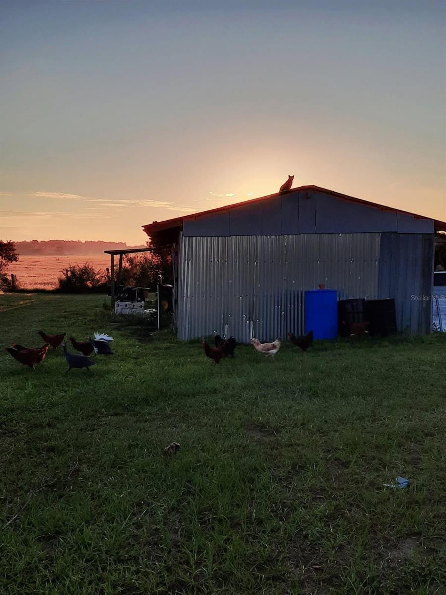 1138 HOPKINS LN, ZOLFO SPRINGS, FL, 33890