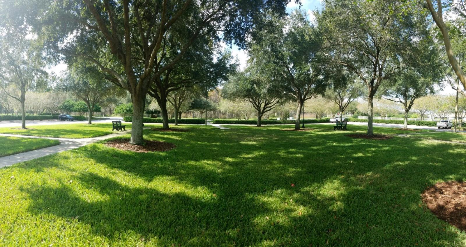 3037 LYNWOOD CT, LAND O LAKES, FL, 34638