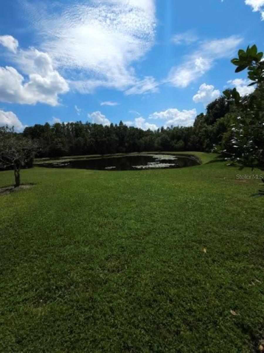 3037 LYNWOOD CT, LAND O LAKES, FL, 34638