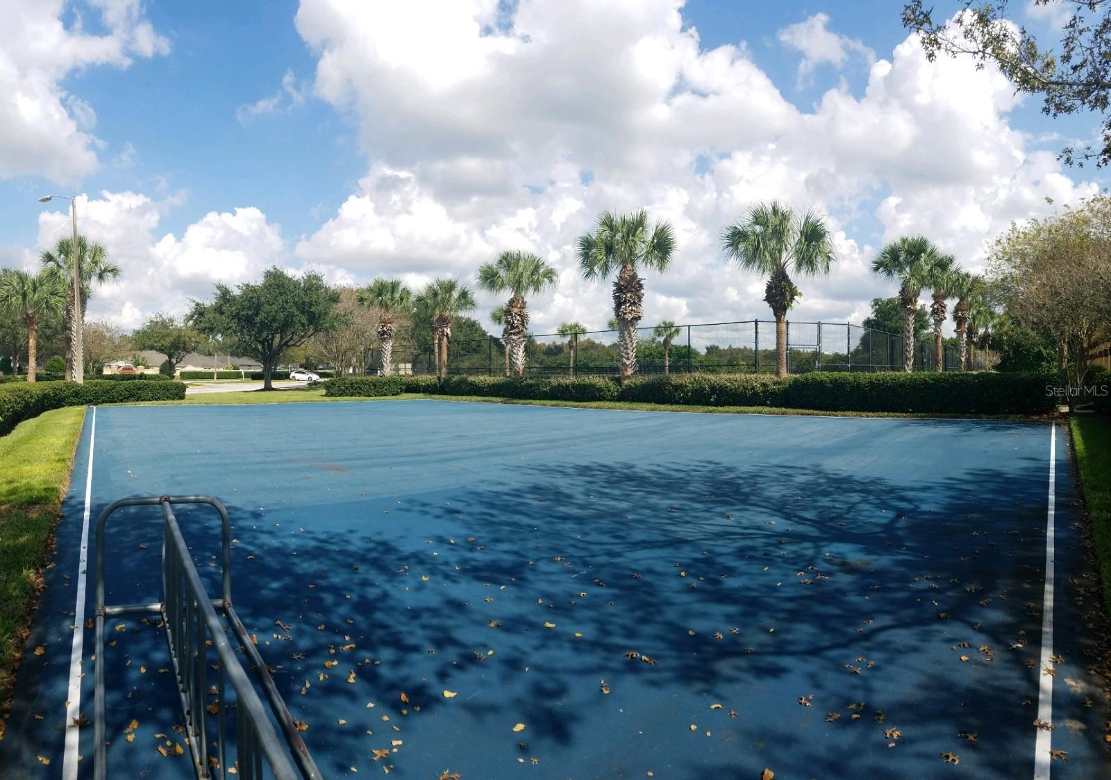 3037 LYNWOOD CT, LAND O LAKES, FL, 34638
