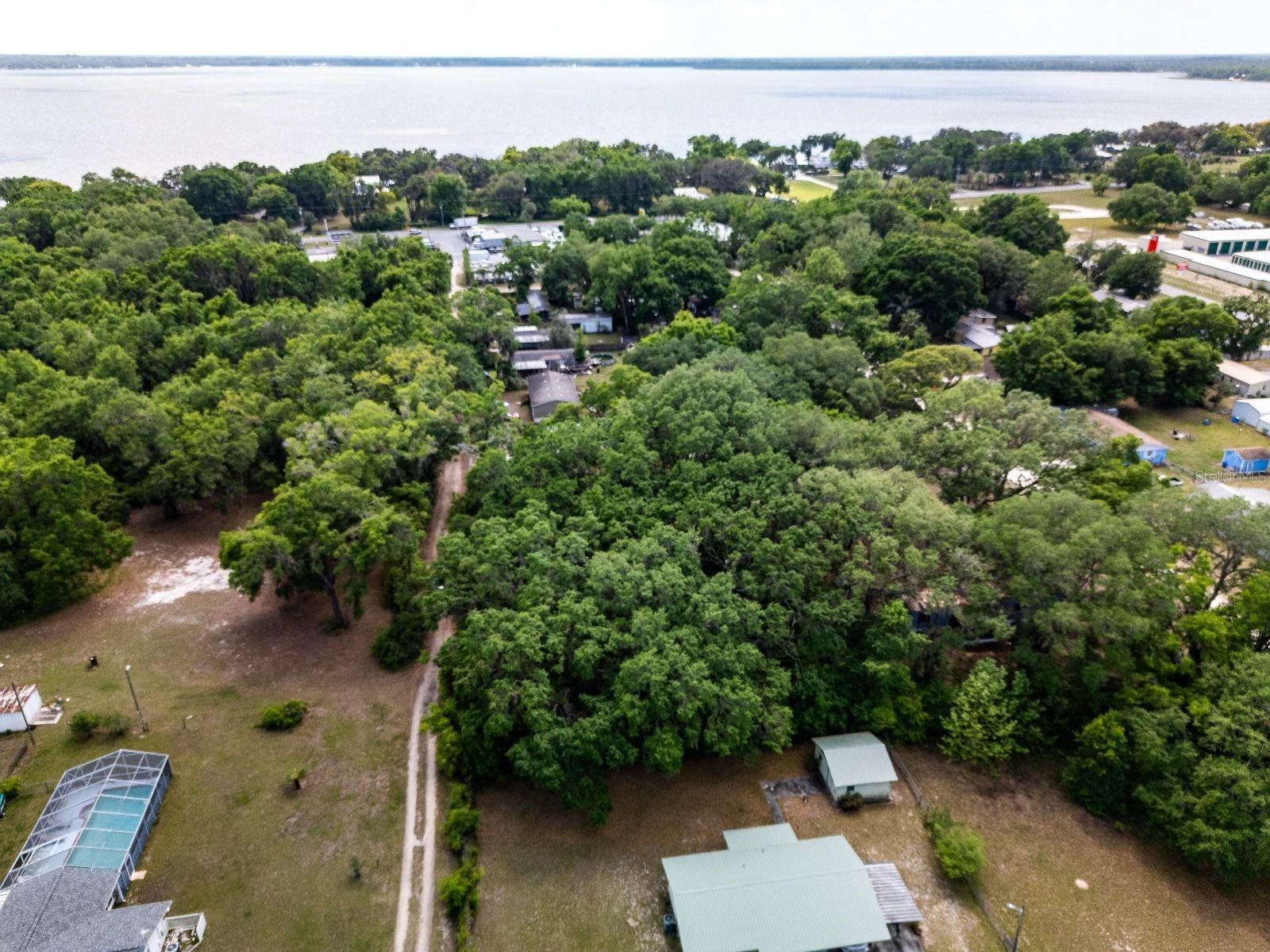 SE 128TH TER, OCKLAWAHA, FL, 32179