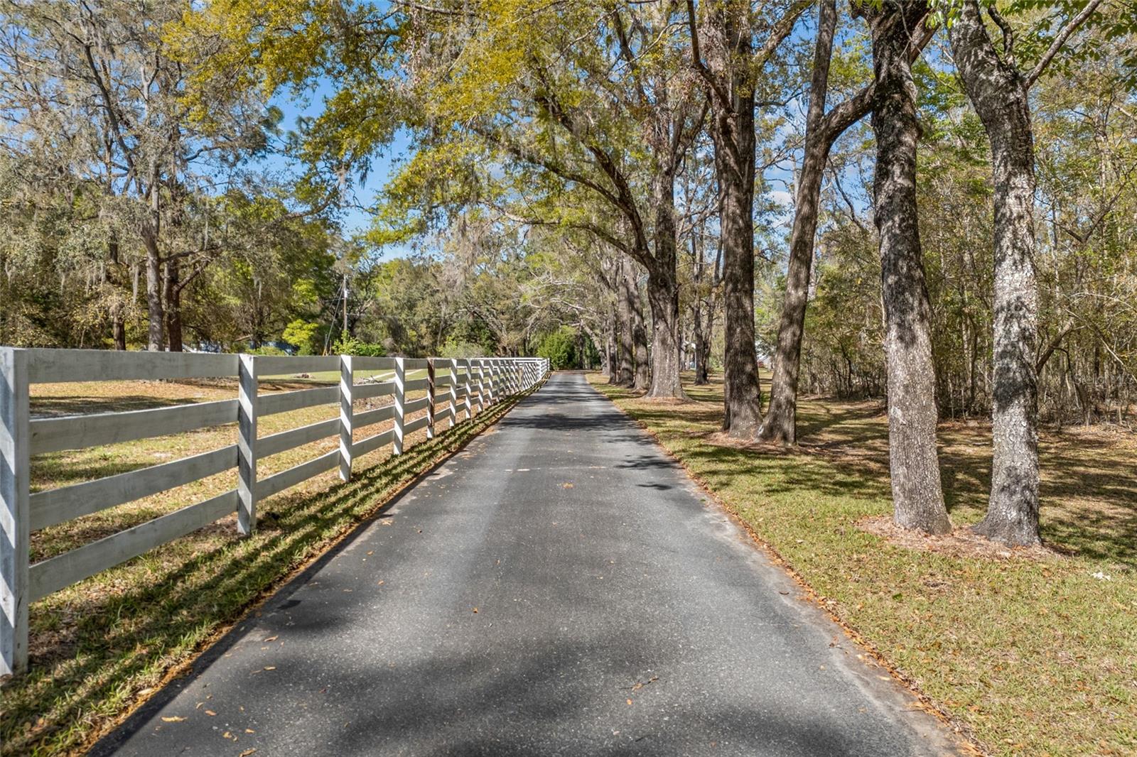 4250 NW 81ST LN, BELL, FL, 32619