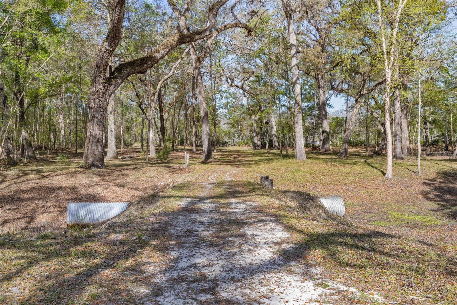 4250 NW 81ST LN, BELL, FL, 32619