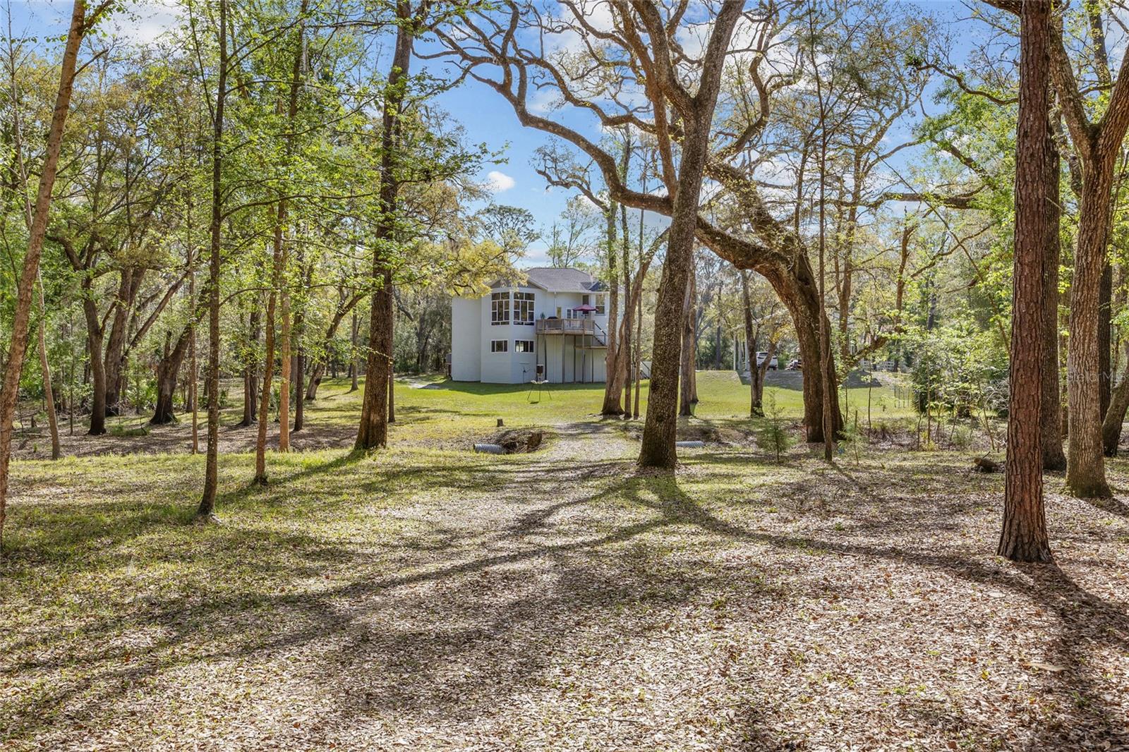 4250 NW 81ST LN, BELL, FL, 32619