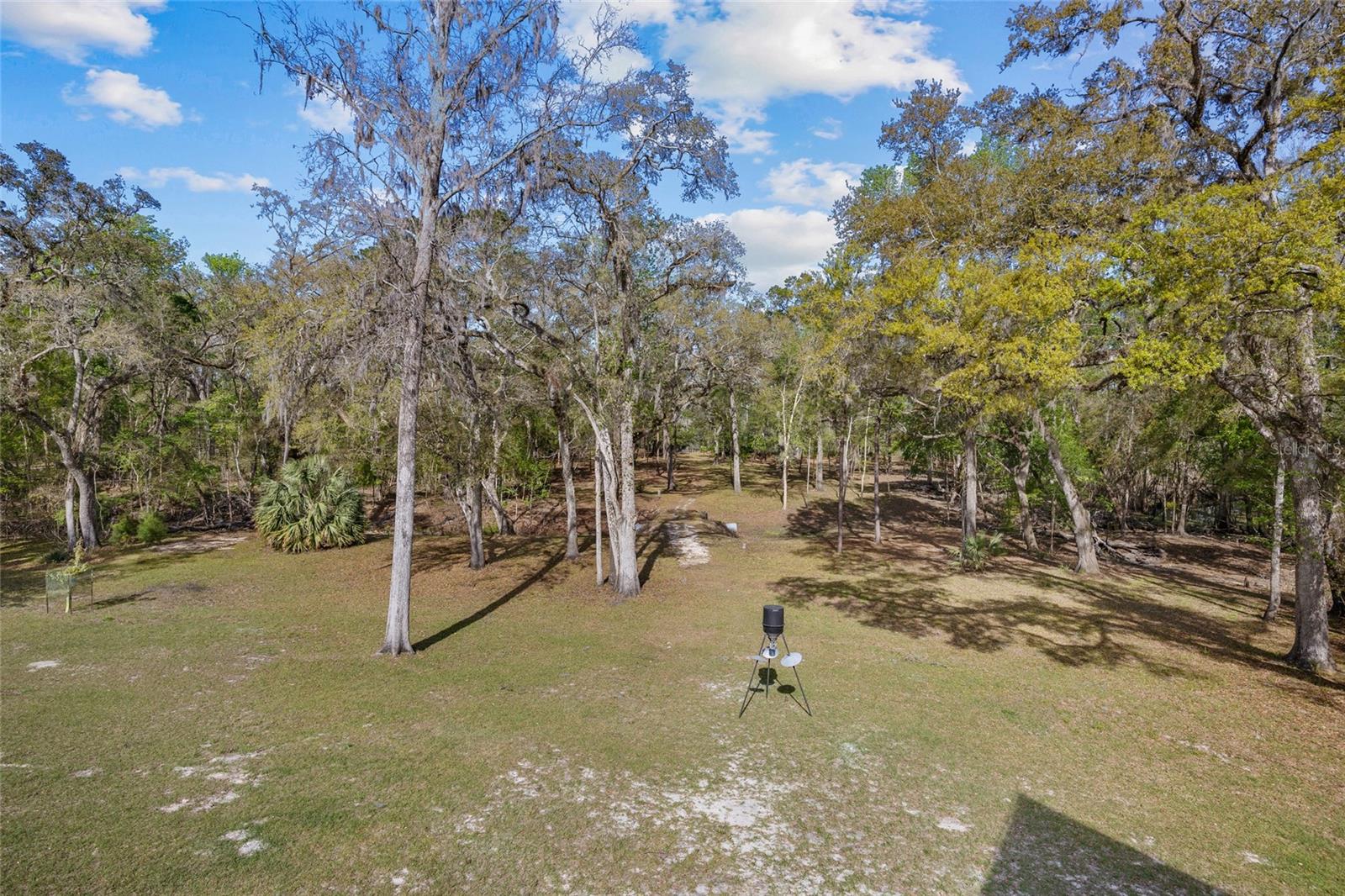 4250 NW 81ST LN, BELL, FL, 32619