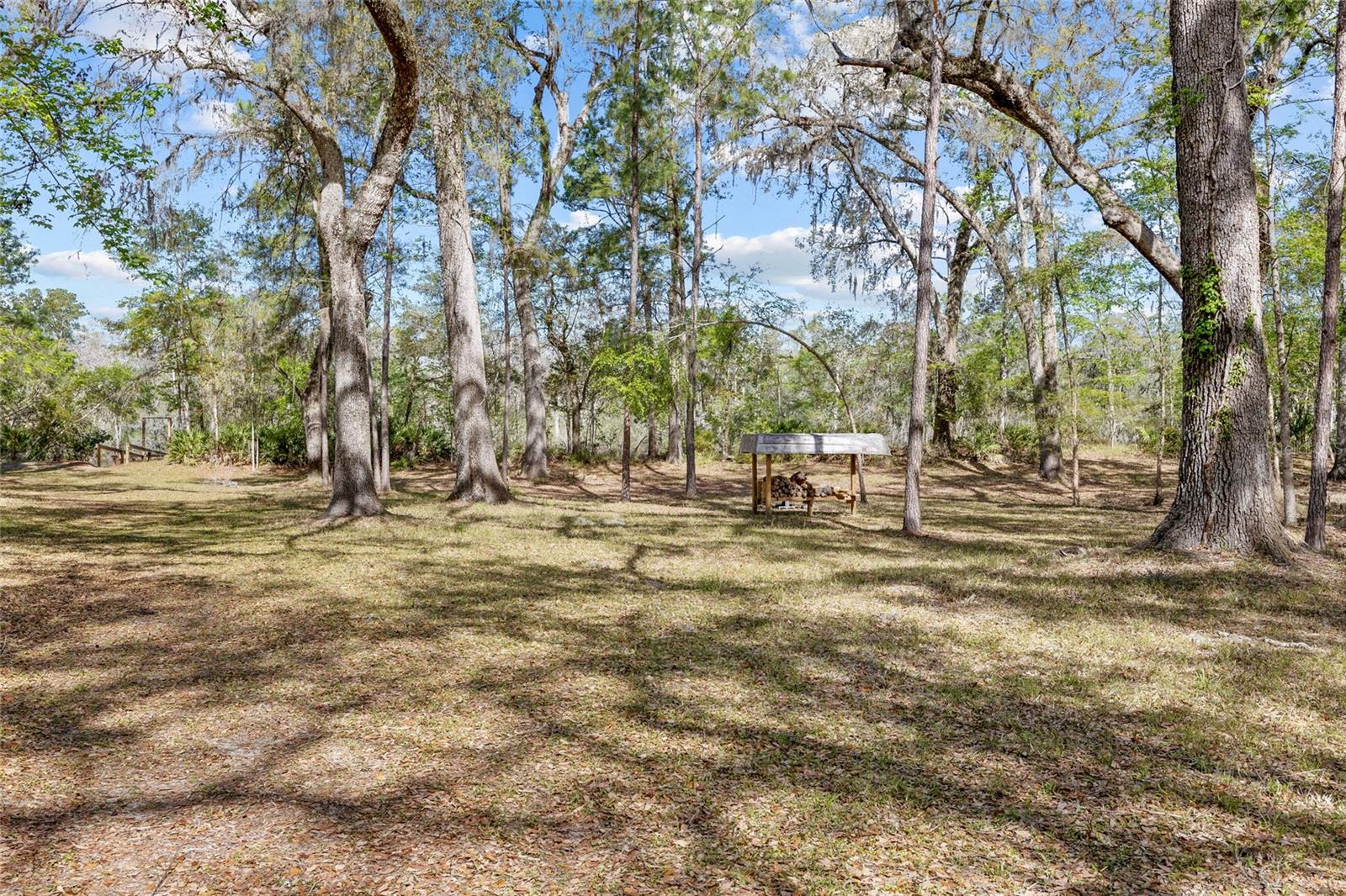 4250 NW 81ST LN, BELL, FL, 32619