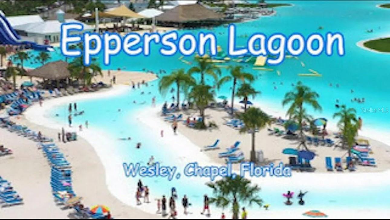 31699 SUN KETTLE LOOP, WESLEY CHAPEL, FL, 33545