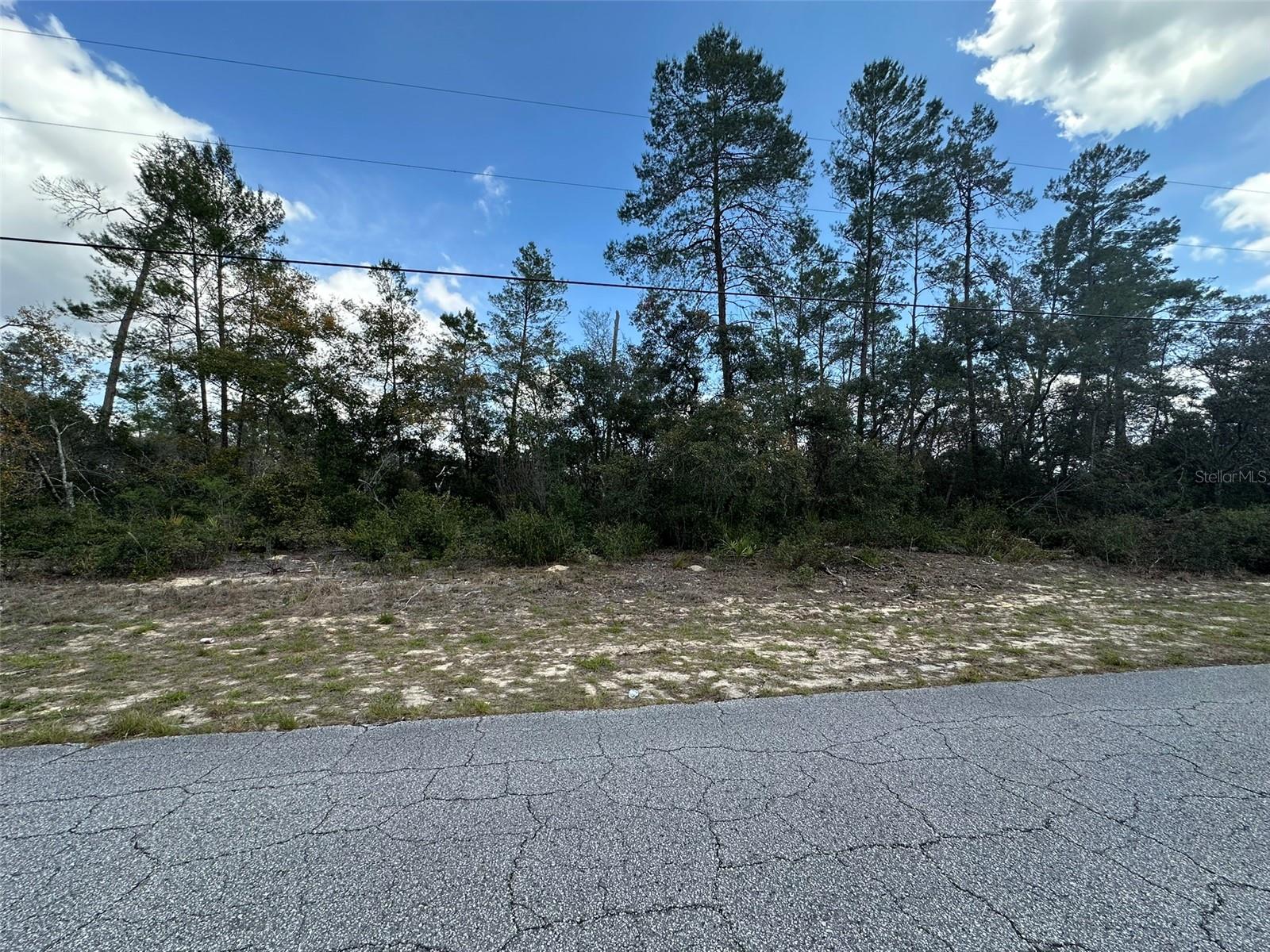8385 N FARRINGTON DR, CITRUS SPRINGS, FL, 34433
