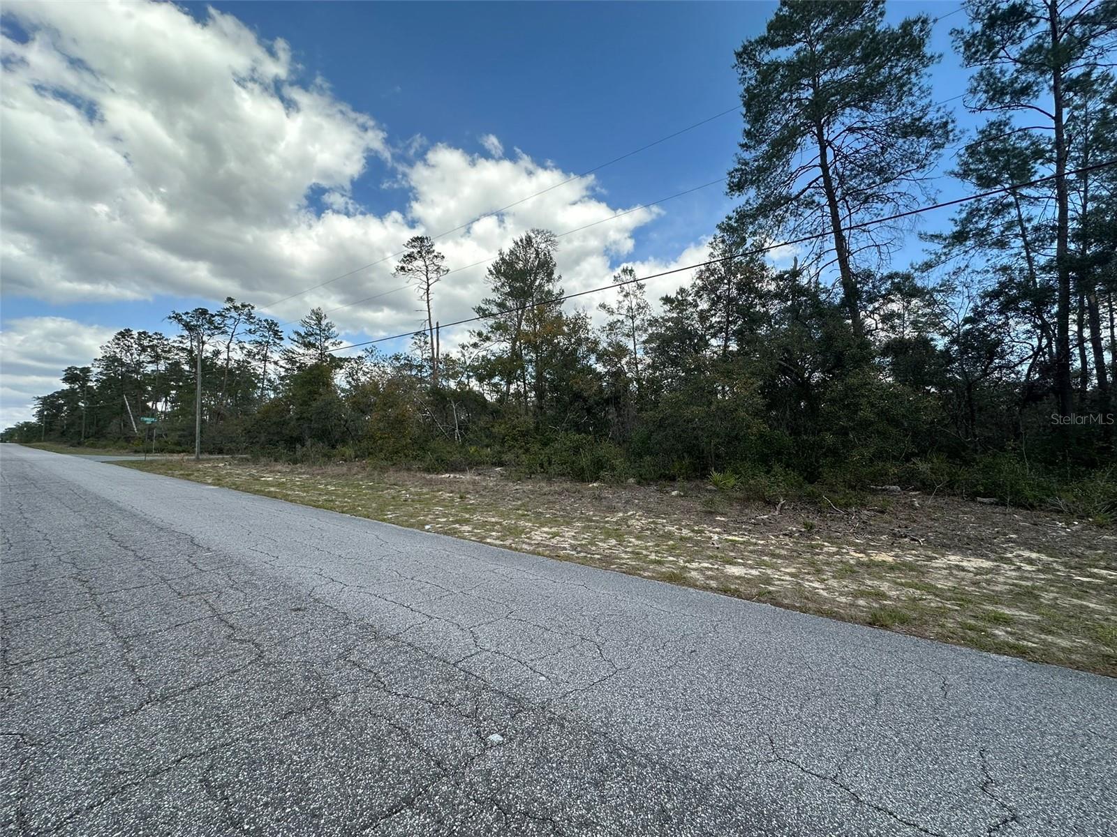 8385 N FARRINGTON DR, CITRUS SPRINGS, FL, 34433
