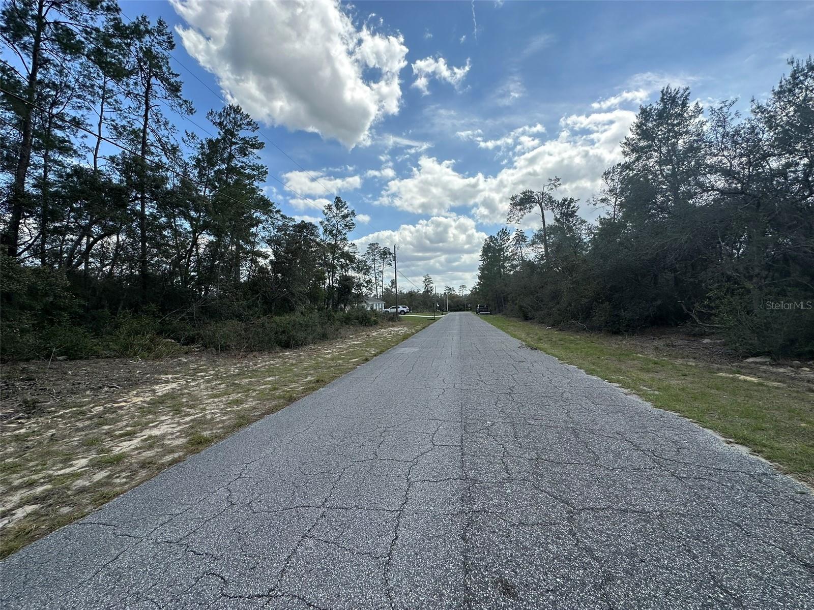 8385 N FARRINGTON DR, CITRUS SPRINGS, FL, 34433