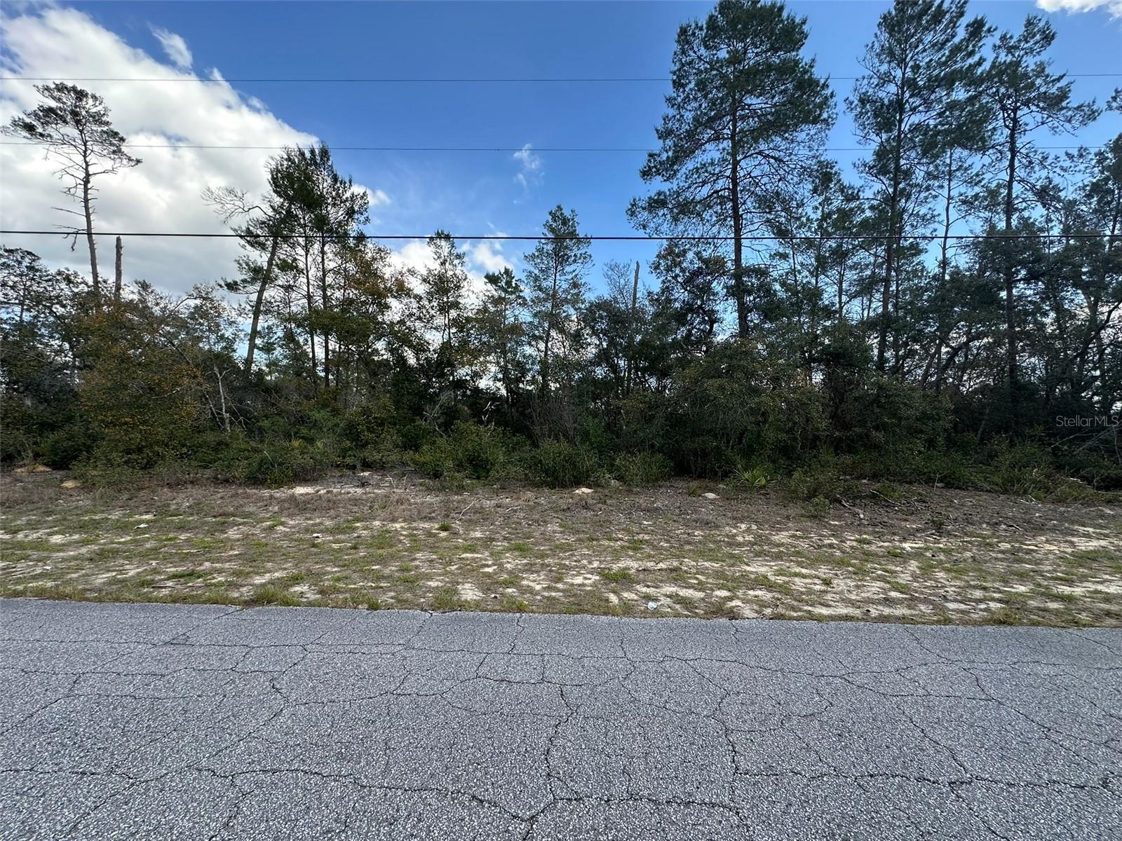 8385 N FARRINGTON DR, CITRUS SPRINGS, FL, 34433