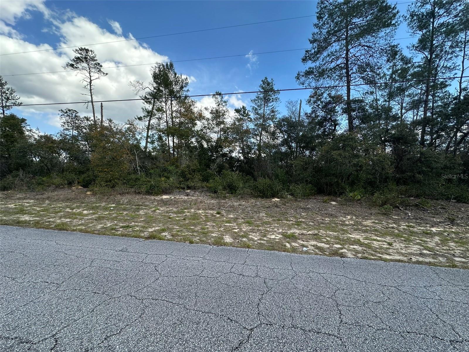 8385 N FARRINGTON DR, CITRUS SPRINGS, FL, 34433