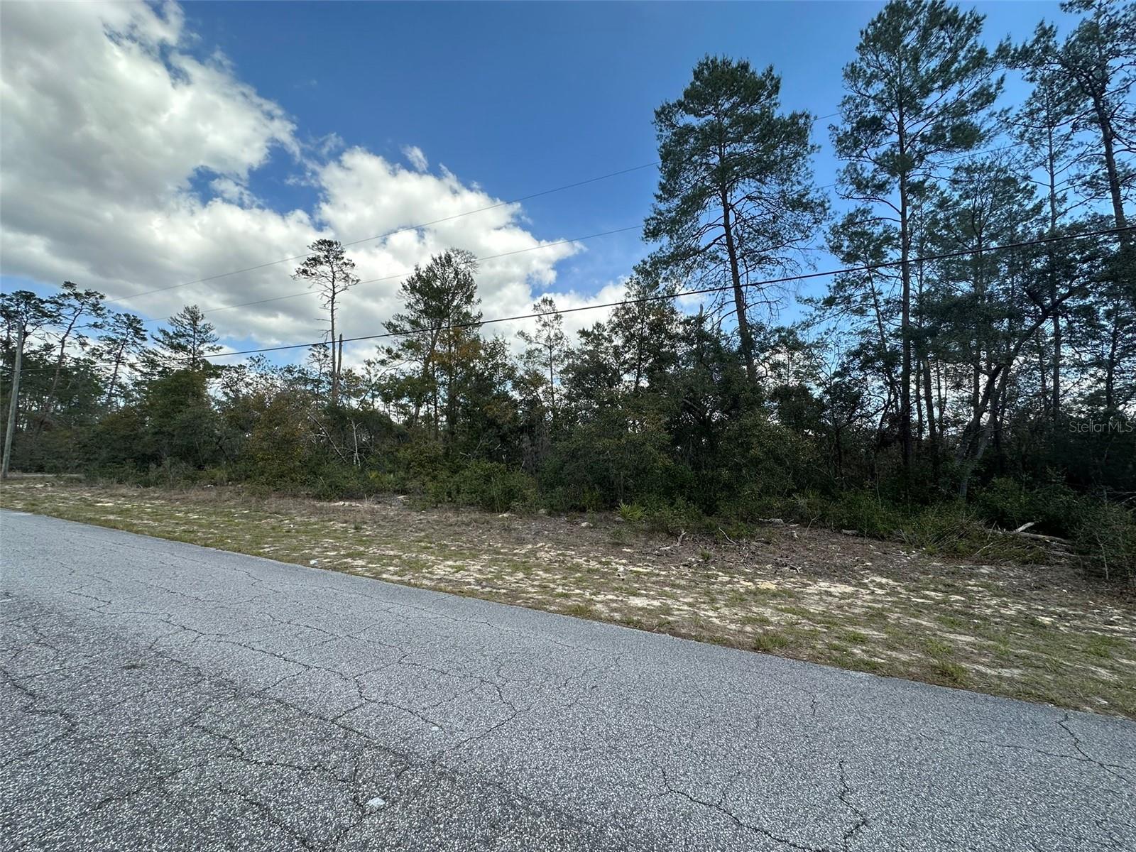 8385 N FARRINGTON DR, CITRUS SPRINGS, FL, 34433