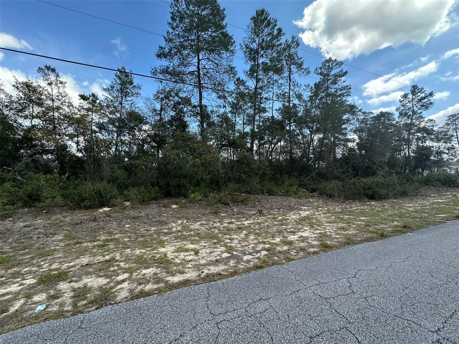 8385 N FARRINGTON DR, CITRUS SPRINGS, FL, 34433