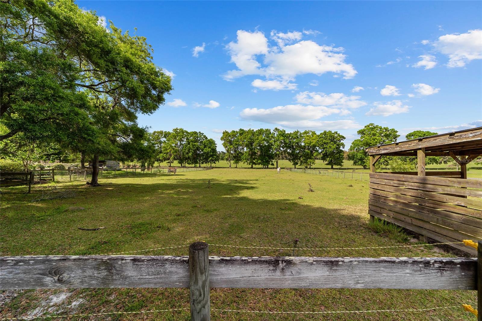 5707 NW 234TH ST, NEWBERRY, FL, 32669
