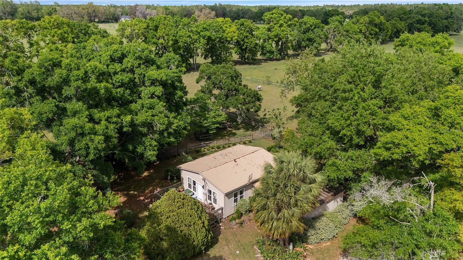 5707 NW 234TH ST, NEWBERRY, FL, 32669