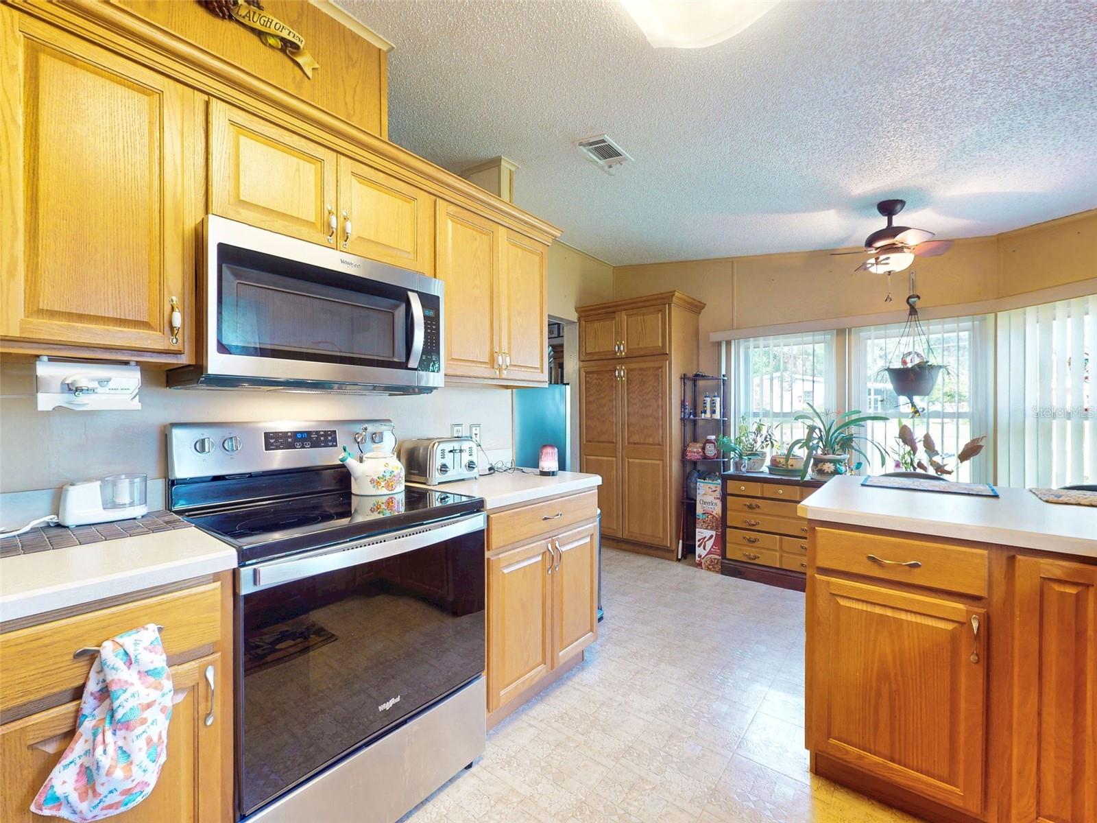 13137 SE 47TH CT, BELLEVIEW, FL, 34420