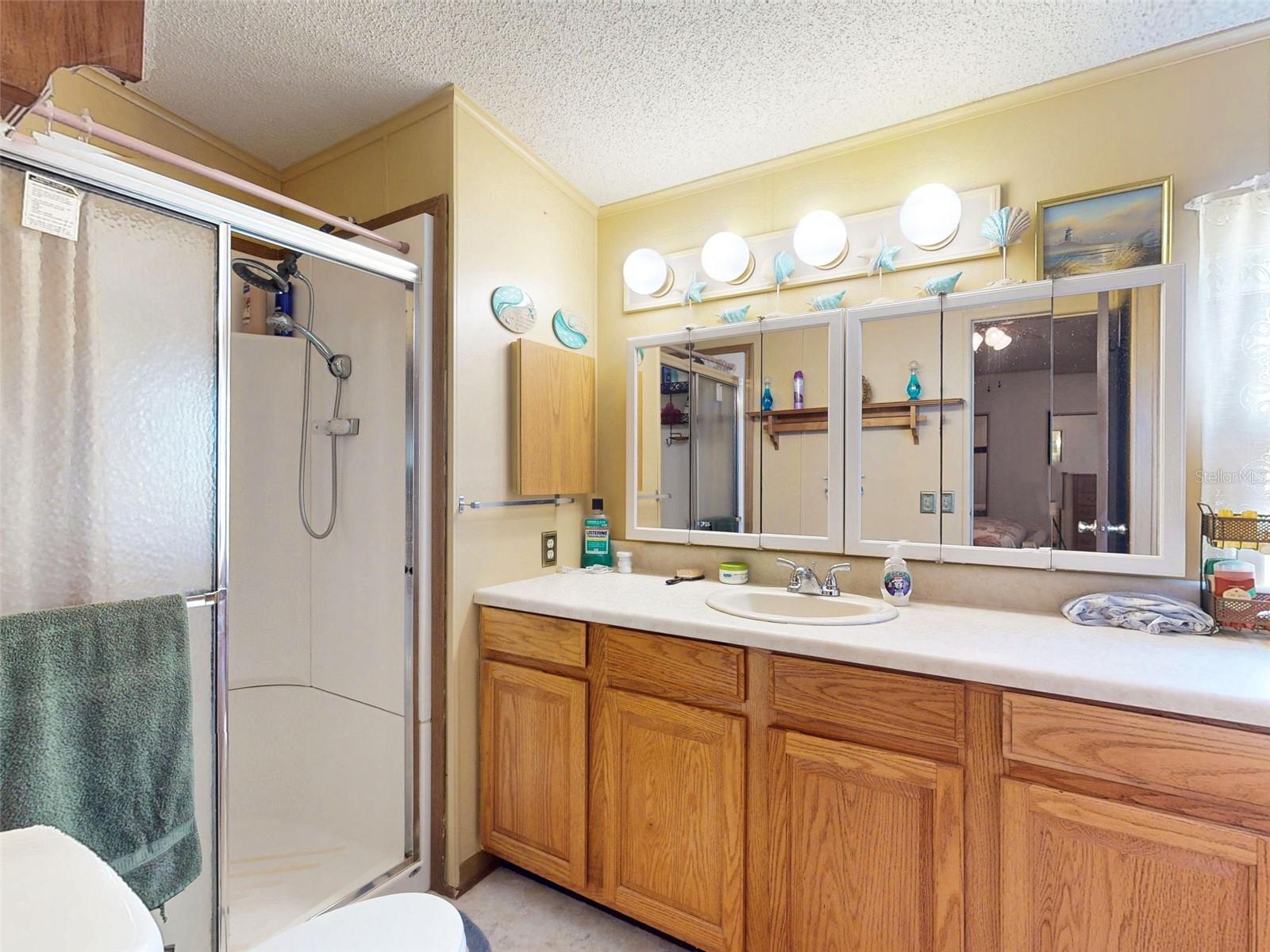 13137 SE 47TH CT, BELLEVIEW, FL, 34420